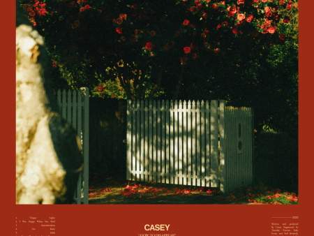 Casey - How To Disappear (Coloured) Discount