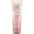 Giovanni 2chic Frizz Be Gone Shampoo 250ml Hot on Sale