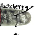 Buckcherry - 15 (2LP)(Coloured) For Sale