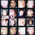 Sum 41 - All Killer No Filler (Coloured) For Sale